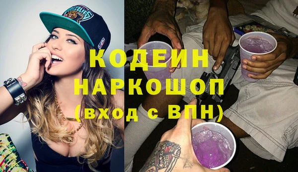 шишки Белокуриха