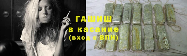 шишки Белокуриха