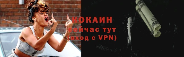 шишки Белокуриха