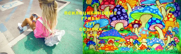 шишки Белокуриха