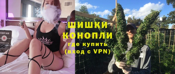шишки Белокуриха
