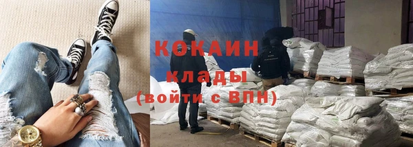 шишки Белокуриха