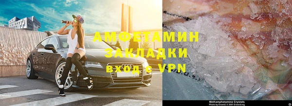 шишки Белокуриха