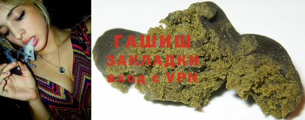 шишки Белокуриха