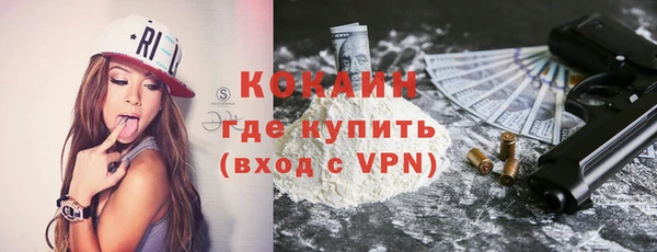 шишки Белокуриха
