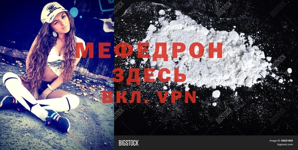 шишки Белокуриха