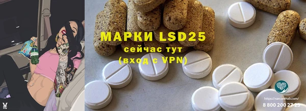 шишки Белокуриха