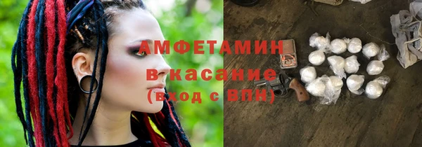 шишки Белокуриха