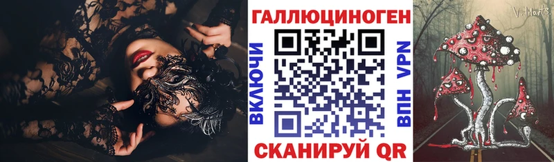 blacksprut tor Великий Устюг Галлюциногенные грибы Psilocybine cubensis