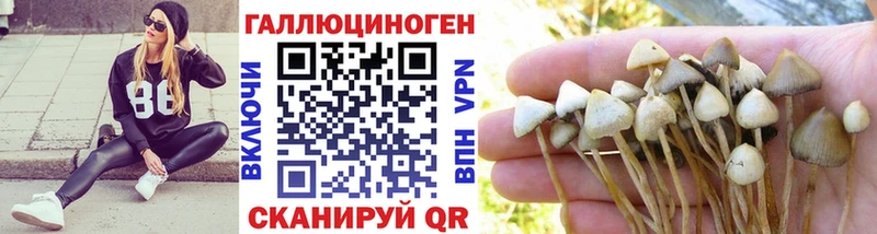 Псилоцибиновые грибы ЛСД Великий Устюг