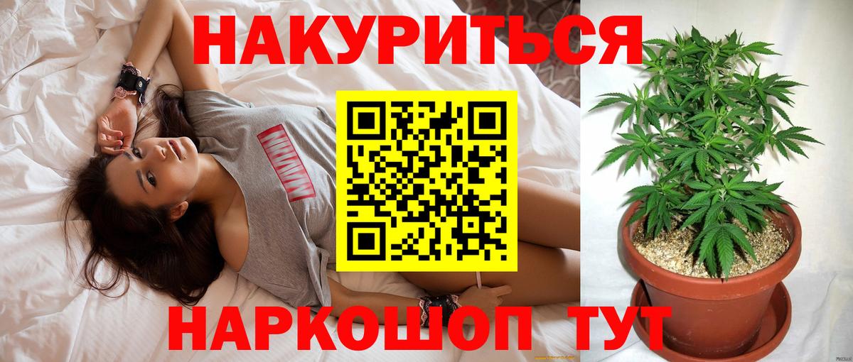 Каннабис сатива Великий Устюг